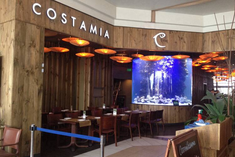 Get Costamia Providencia Santiago Desktop Wallpaper Free Get Wallpaper Costamia Providencia Santiago Free HD